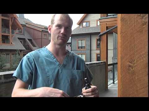 Dr. Murray Matheson, Veterinarian: How to  file/Dremel your dogs nails.