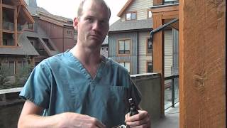 Dr. Murray Matheson, Veterinarian: How to  file/Dremel your dogs nails.