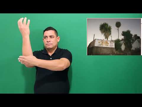 Miniatura do vídeo: Terreiro 129