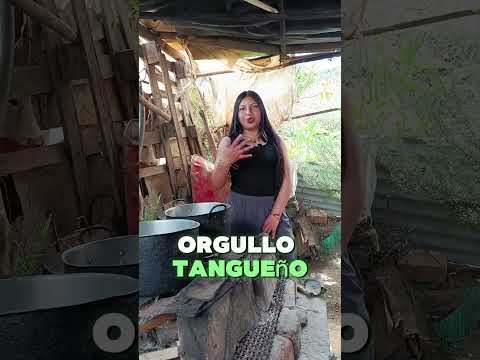 ¡El Mercado Campesino de Tangua te espera!