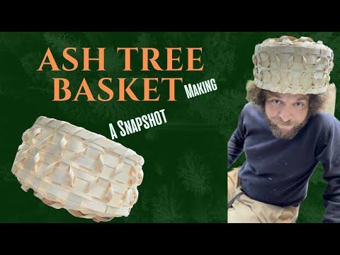 Ash Tree Basket