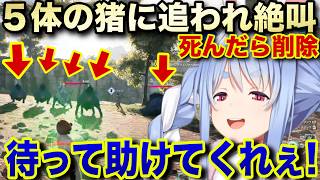 【SAO EoA】5対の猪パーティーの終われ絶叫し逃げ回るぺこちゃん【ホロライブ/兎田ぺこら/切り抜き】