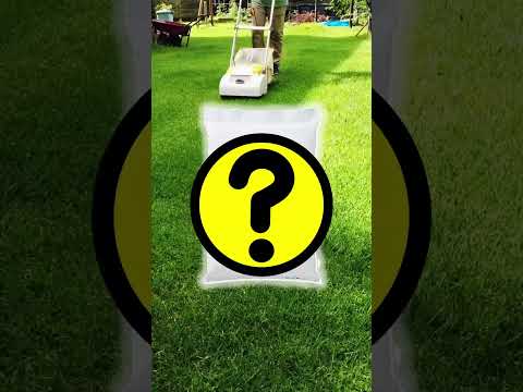 庭に堆肥をいつ、どのように追加するのですか?知っておくべきことはすべて！  庭園