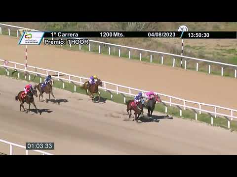 230804 c01 - A. P. LOVE - HIPODROMO LAS PIEDRAS