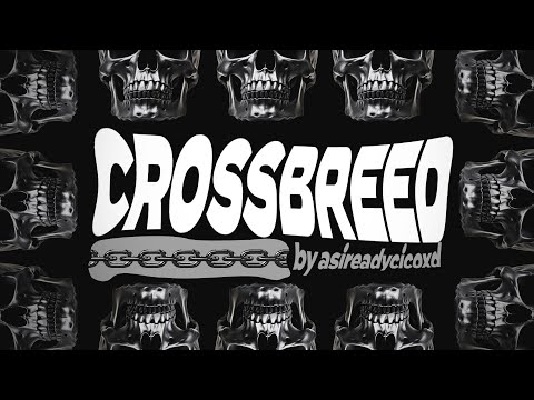 INSANE CROSSBREED DNB DJ SET 2024! | Asireadycicoxd