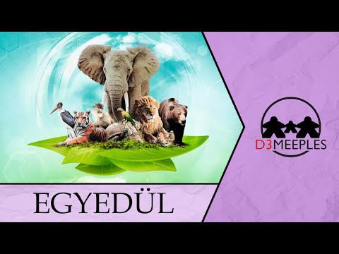 EGYSZEMÉLYES JÁTÉK: ARK NOVA - d3meeples