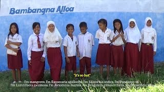 preview picture of video 'Participatory Video, BAMBANGNA ALOA'