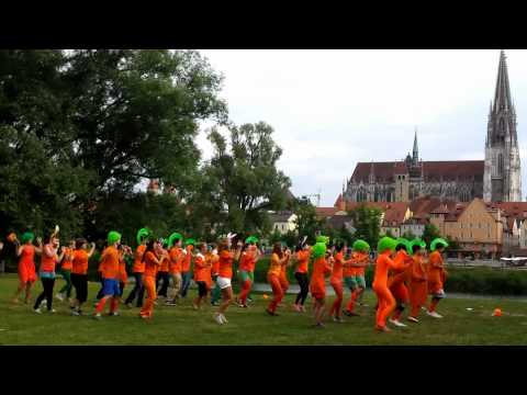 Medimeisterschaften 2012 Regensburg. Kiel - ein Sommermöhrchen