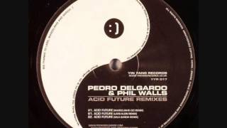 Pedro Delgardo & Phill Walls - Acid Future (Marcelinho CIC Remix) (A)