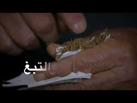 Women and tobacco in the village of yaabad - jenin