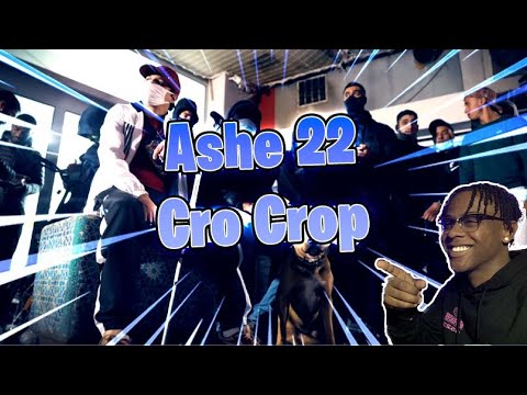 Bro snapped fr 😭🔥 | ASHE 22 - CRO COP (Reaction)
