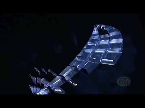 THOMAS Braida (AUS) W - 2022 Trampoline Worlds, Sofia (BUL) - Q Double Mini Exercise 2