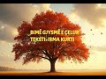 Irma Kurti - Bimë Gjysmë E Çelur