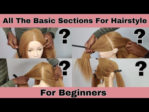Hair Sectioning Technique || Basic section of Hairstyling