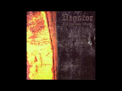 Negator - Answer to All Questions
