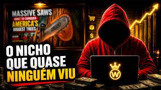 Descobri um Nicho Pouco Explorado - Com Potencial Insano de Lucro