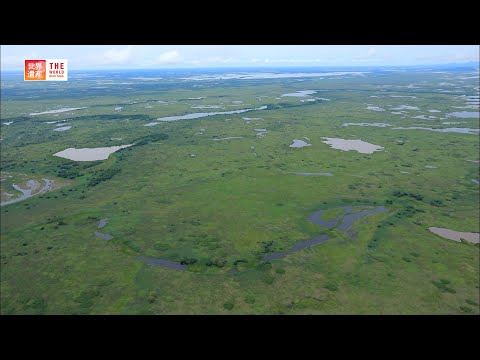Pantanal Conservation Area (Brazil) / TBS