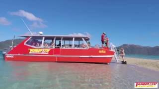 Thundercat Whitsundays