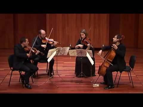 F. J. Haydn - String Quartet in G Major op.33 n°5 - 1° mov. -  Vivace assai