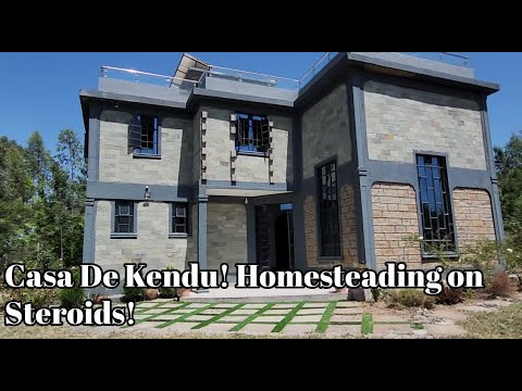 Casa De Kendu-Bay: Homesteading on Steroids: From the USA 🇺🇸 to Karateng Kenya! 🇰🇪