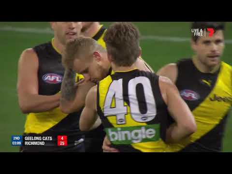 Qualifying Final 2 - Geelong v Richmond Highlights