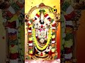 OM Namo Venkatesaya Shorts Venkanna Songs Srinivasa Govinda Lord Balaji Vmc Devotional