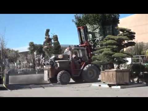 CORONAVIRUS: LA SITUAZIONE PER IL VIVAISMO A PISTOIA