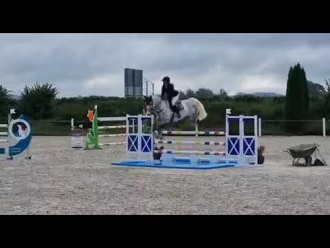 LEVINO (8yo Levisonn) 08.21 Illertissen - 5. Platz S** 145 cm