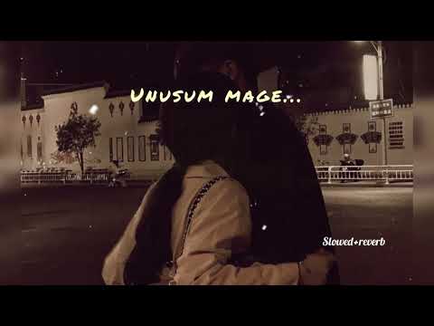 Hitha Ida Nodunnath (හිත ඉඩ නොදුන්නත්)|Unusum Mage (උනුසුම් මගේ)-[Slowed+Reverb]