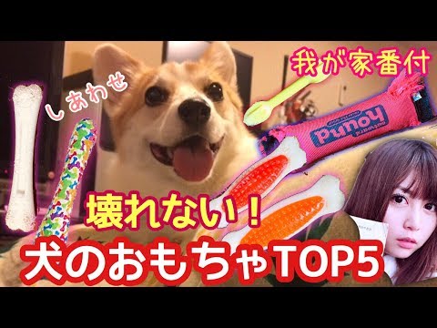 犬に勧められないおもちゃ