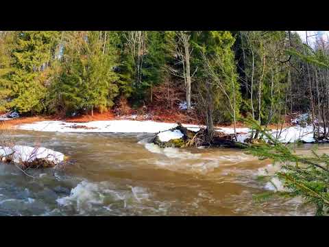 Frühling ist´s  Vertonung des Gedichtes Er ist´s von Eduard Mörike, neue Musik 2025