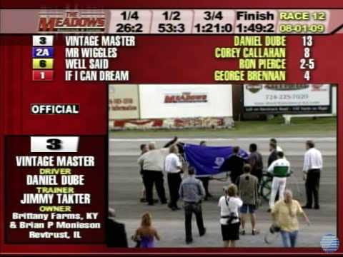 20090801MeadowsR12 Adios Final