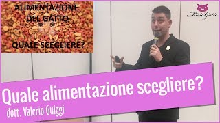 Alimentazione del gatto: confronto tra tipi di alimentazione con il dott. Valerio Guiggi