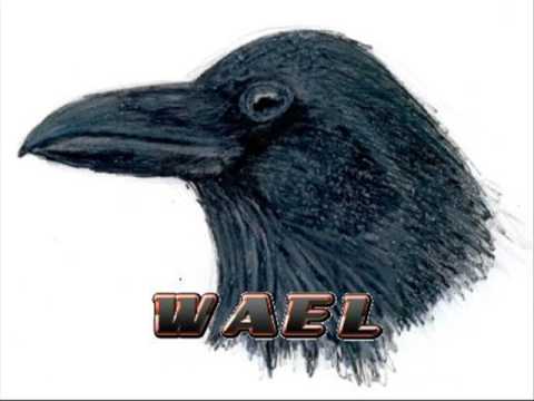 Skaffaboy Kraai in een boom [REMIX DEEL2][Wael Diss]