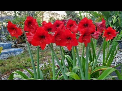 “Every flower blooms in its own time.”