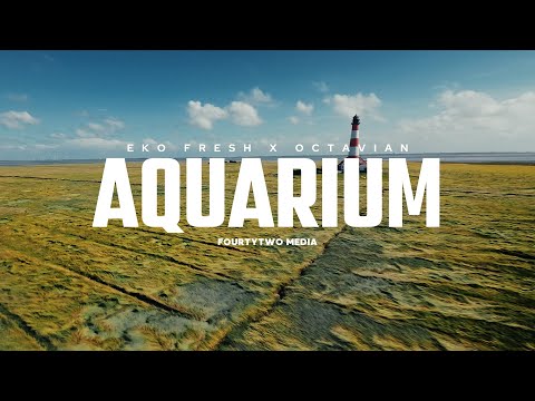 Video thumbnail for Aquarium