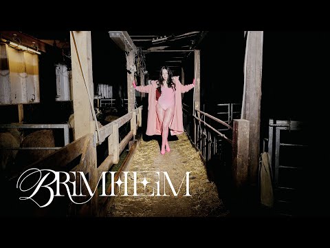 Brimheim - Literally Everything (music video)