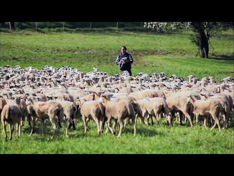 Midi-Pyrénées, les traditions françaises bien ancrées | Douces Frances