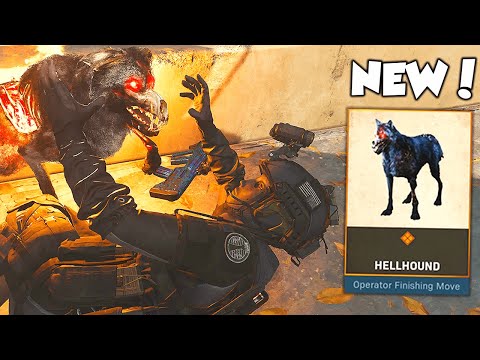 I UNLEASHED MY HELLHOUND and had to confront a cheater