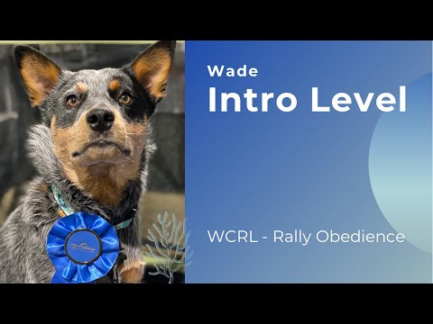 WCRL - Rally Obedience Intro Title