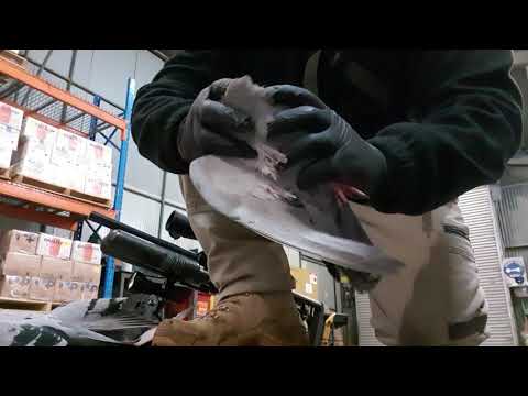 JSB Hades pellets at work