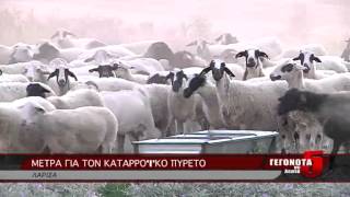 ΜΕΤΡΑ ΓΙΑ ΤΟΝ ΚΑΤΑΡΡΟΪΚΟ ΠΥΡΕΤΟ