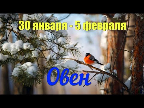 30 января - 5 февраля.ОВЕН♈️