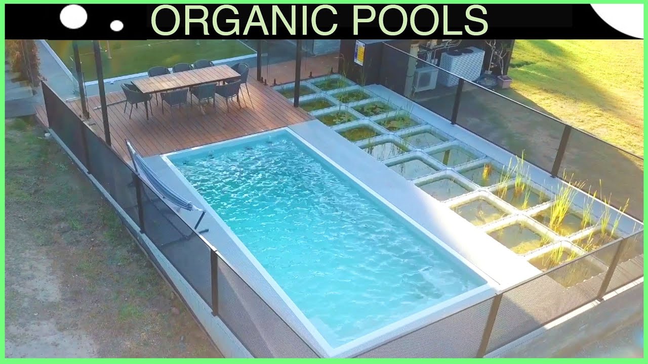 You've Never Seen a Natural Pool Like This...