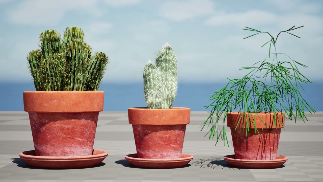 Realistic 3D Indoor Cacti 3D Model
