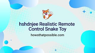 Remote Control Snake Toy