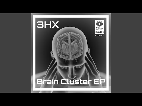 Brain Cluster