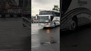 Download lagu Bus Purnayasa trans mlg-bali mp3 Download lagu Bus Purnayasa trans mlg-bali mp3