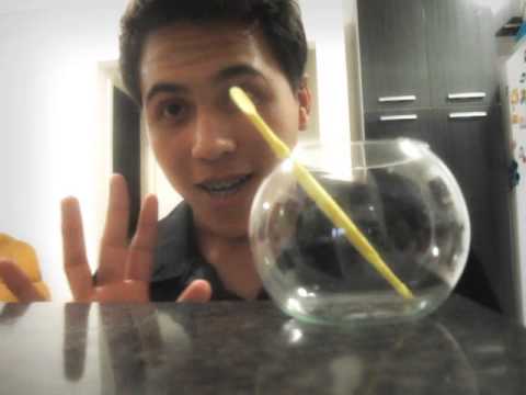 Quebrando a taça na VOZ