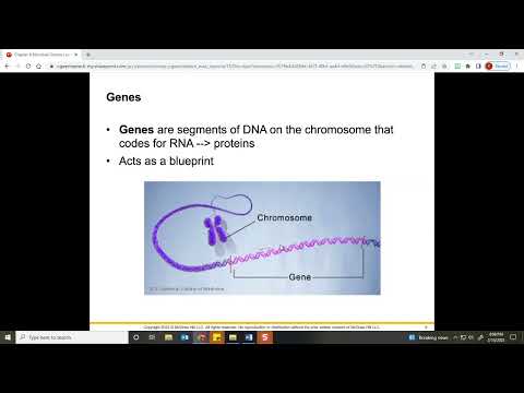 Biol 2117 Ch 8 Microbial Genetics and Genetic Engineering